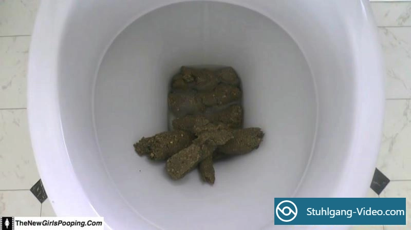 ShitGirl - Toilet Destroyed In 5 Mins [FullHD 1080p] Stuhlgang Porno