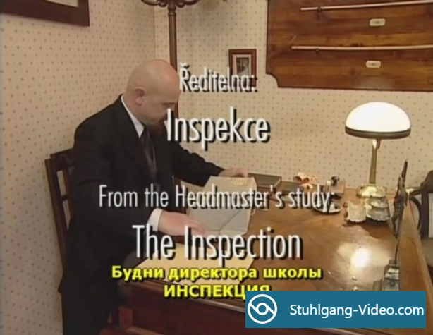 The Inspection [DVDRip] Fetisch Porno