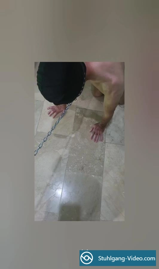 Toilet slave, saco al esclavo de la reja para usarlode [FullHD 1080p] ScatBook