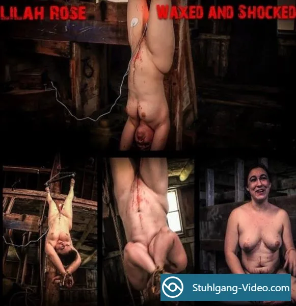 Lilah Rose Waxed and Shocked [FullHD 1080p] BDSM Porno