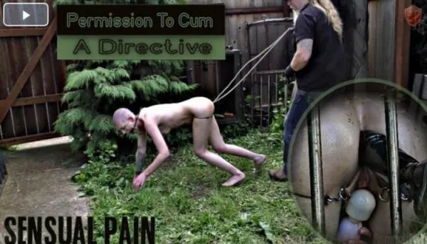 Abigail Dupree. Permission To Cum Directive [FullHD 1080p] BDSM Porno