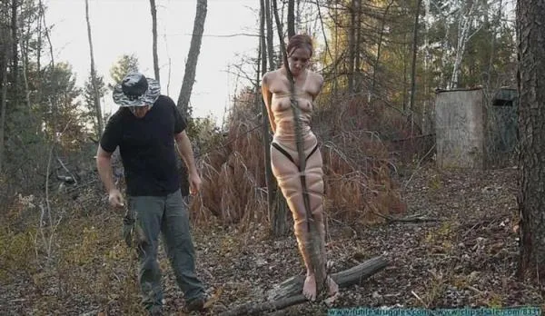 Tree Taped [HD 720p] BDSM Porno