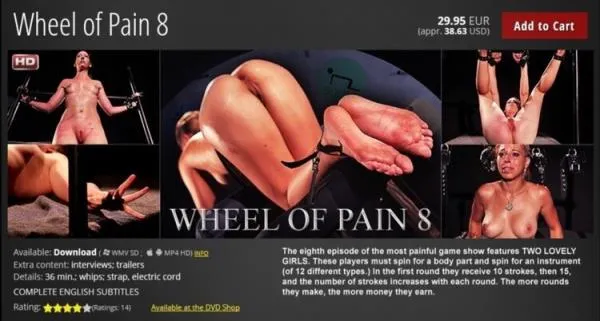 Wheel of Pain 8 [HD 720p] BDSM Porno