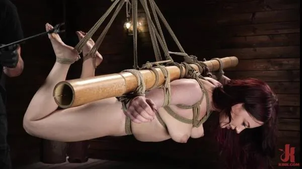 Jessica Ryan Reunited In Rope [SD] BDSM Porno