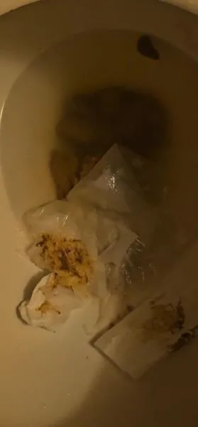 Flushes shit down the toilet [UltraHD 4K] Amateur