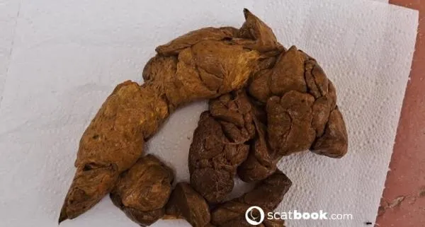 Une kg de merde qui en veux [FullHD 1080p] Stuhlgang Porno