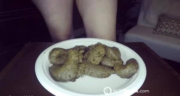 A Scat Loser's JOI To My Shit [FullHD 1080p] Stuhlgang Porno