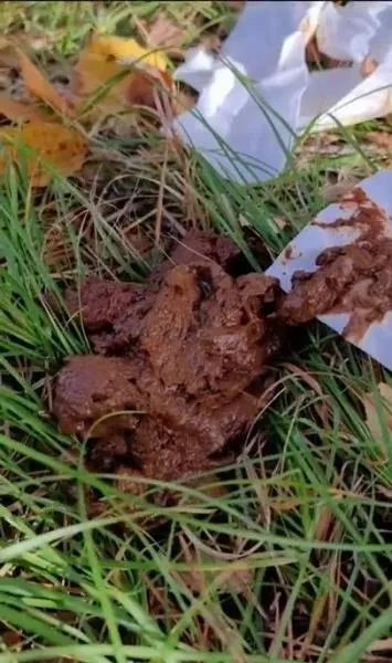 I eat someone elses shit in the woods [SD] Stuhlgang Porno