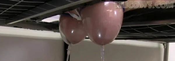 Vina udder expansion [FullHD 1080p] BDSM Porno