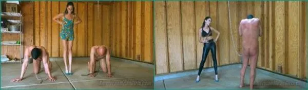 Princess Beverly - Whipping My Horses [FullHD 1080p] Femdom Porno