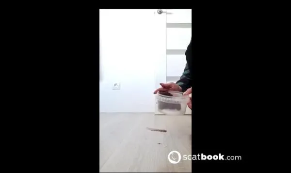 Seven loads for video shooting [HD 720p] Stuhlgang Porno