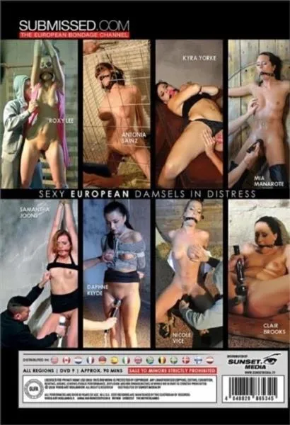 Vibed in Silence [SD] BDSM Porno