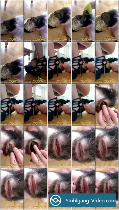 Watch Scat lunch for my dirty slut [SD] Scatbook | Humiliation, Kaviar Online