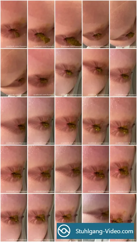 Watch Pooping 2 [SD] Scatbook | Amateur, Poop Online