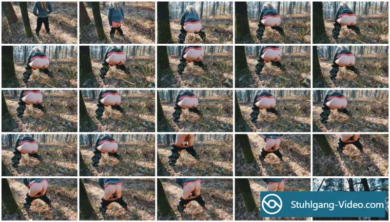 Watch Another Autumn Mess [HD 720p] Filthygrid | Dirty Anal, Defecation Online
