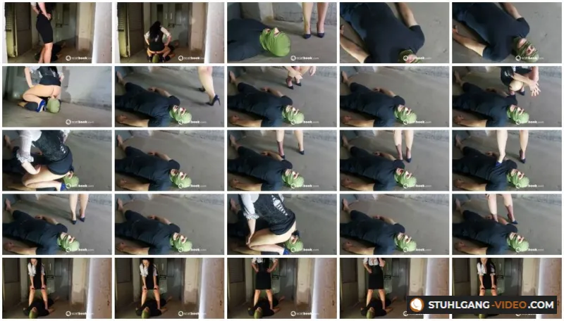 Watch Schluckwillige Scat Toilette im Keller [HD 720p] Scatbook.com Online