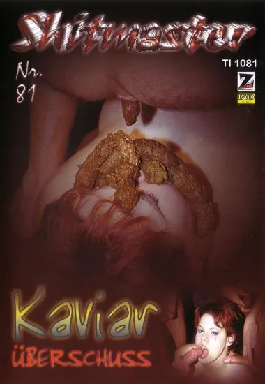 Shitmaster 81 [DVDRip] Z-Faktor