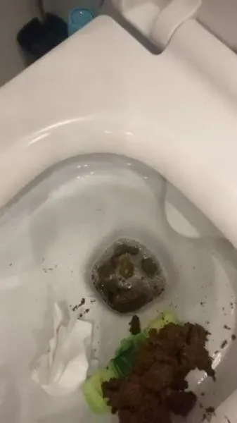 Daily portion of shit for my bitches [SD] Scatbook.com