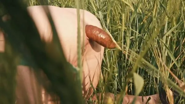 Doggystyle Shit In a Field [HD 720p] Filthygrid.com
