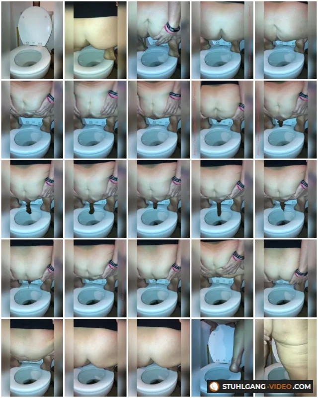 Watch Perfect Textured Poop On Toilet [SD] Scatshop.com Online