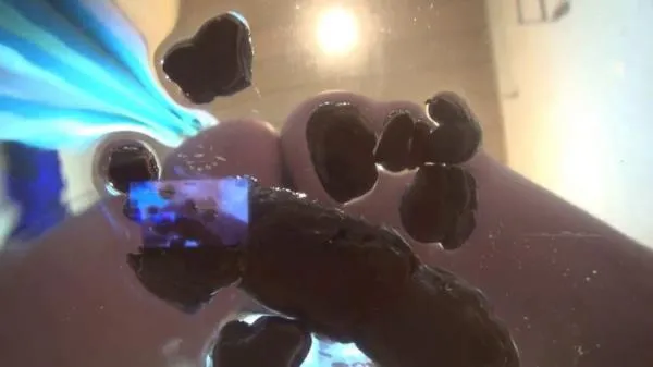 KV I Shit In Your Face [FullHD 1080p] Amarotic