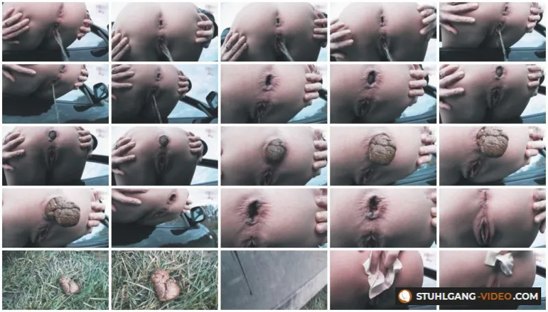 Watch Car Piss And Shit [HD 720p] Filthygrid.com Online