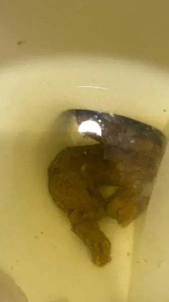 Shitting On The Bathroom Floor At Work [SD] Scatshop.com