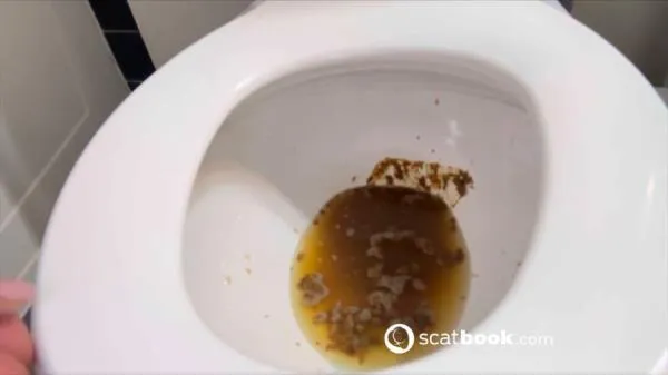 Shit For BDSM And Fetish Lovers 222 [HD 720p] Scatbook
