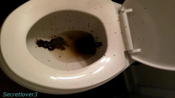 Toilet Spray [FullHD 1080p] Scatshop
