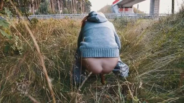 Highway Pooping 3 [HD 720p] Filthygrid.com