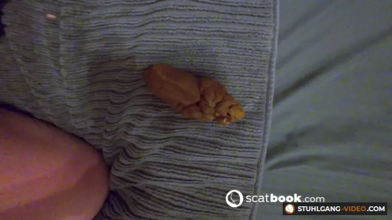 Watch Missionary HUGE Poop [UltraHD/4K] Filthygrid.com Online