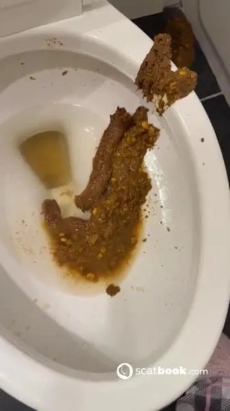 Bossys Bathroom Blunder A Splattered Catastrophe [SD] Scatbook