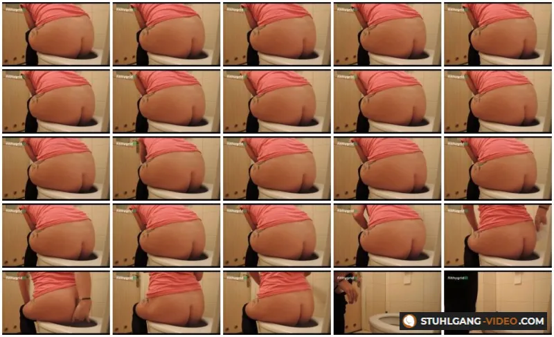 Watch Defecation In Toilet 8 [SD] Filthygrid.com Online