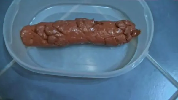 A Shit For a Fan [HD 720p] Filthygrid.com