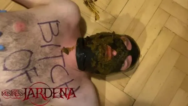 Masacrated bitch on first toilet session [HD 720p] Scatbook.com