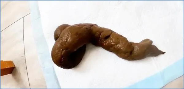 Pulsifer Paprocki – Scared Shitless 5 Day Post-op Shit [FullHD 1080p] Stuhlgang Porno
