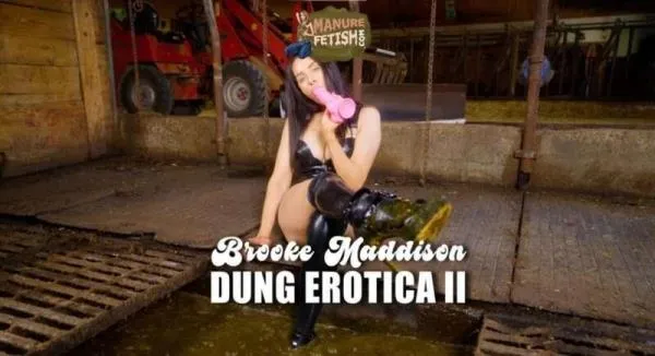 Scat Dung Erotica 2 [HD 720p] Manurefetish.com